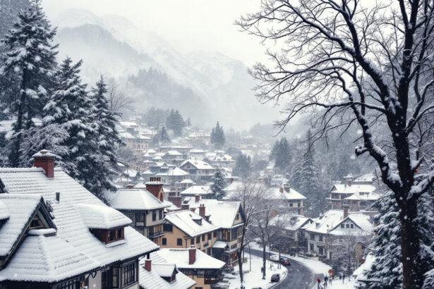 Shimla